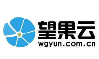 售前咨询待遇解析 聚焦中小企业咨询服务与看准网平台
